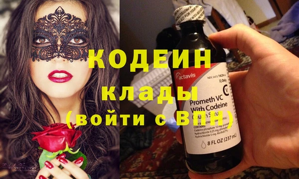 шишки Киренск
