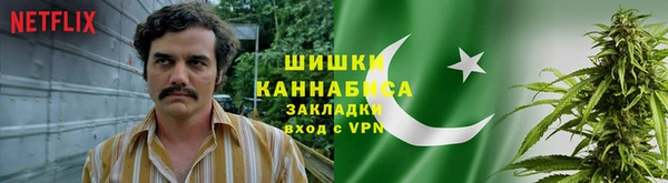 гидра Киреевск