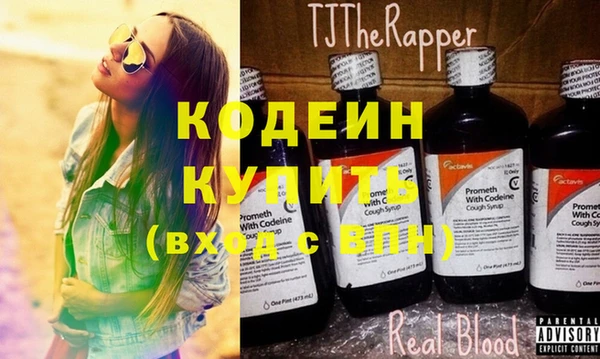 шишки Киренск