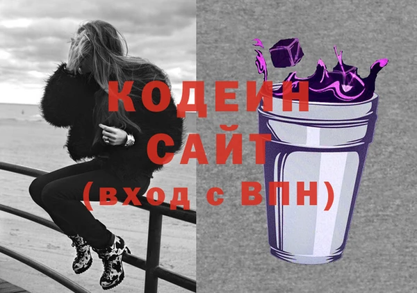 шишки Киренск