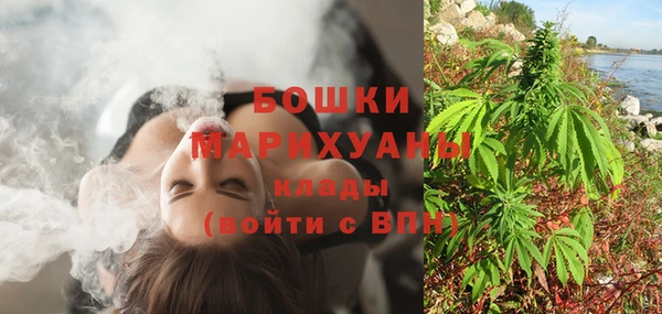 гидра Киреевск