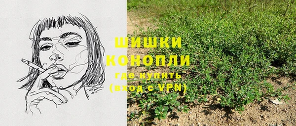 гидра Киреевск