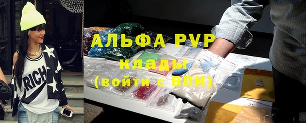 шишки Киренск