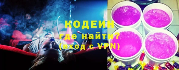 шишки Киренск